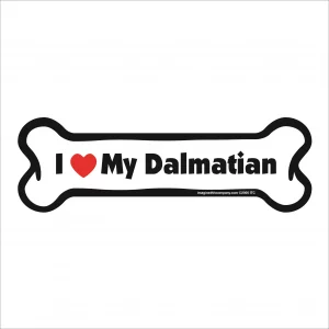 dalmation bone magnet