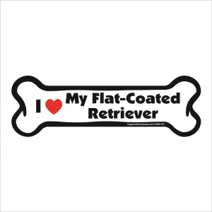 flat coated retriever bone magnet