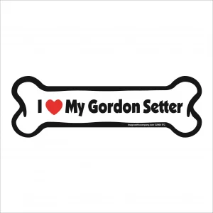 gordon setter bone magnet