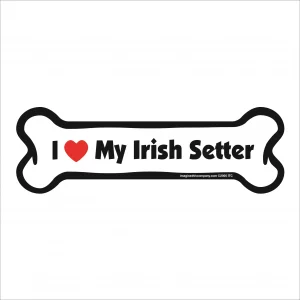 irish setter bone magnet