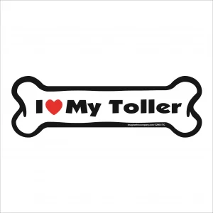 toller bone magnet