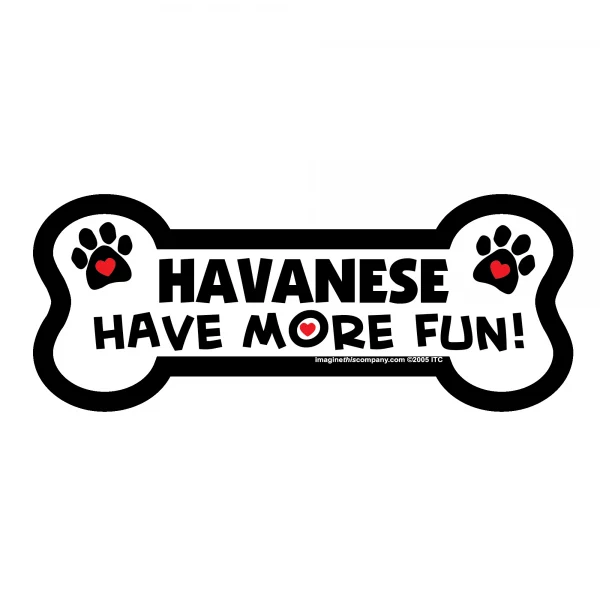 Havanese Have More Fun Bone Magnet