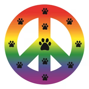 Rainbow Pride Peace Sign Magnet