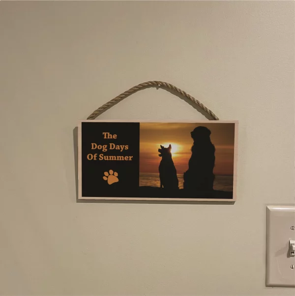 Sunny Dog Days of Summer Wood Sign - Image 3