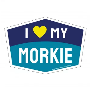 I Love My Morkie Hexagon Shaped Magnet