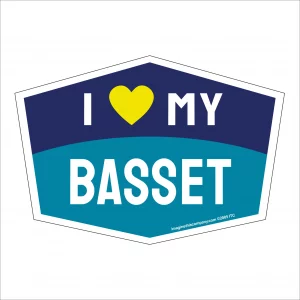 I Love My Basset Hexagon Shaped Magnet
