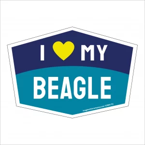 I Love My Beagle Hexagon Shaped Magnet