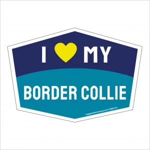 I Love My Border Collie Hexagon Shaped Magnet