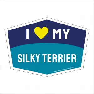 I Love My Silky Terrier Hexagon Shaped Magnet