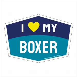 I Love My Boxer Hexagon Shaped Magnet