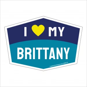 I Love My Brittany Hexagon Shaped Magnet