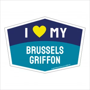 I Love My Brussels Griffon Hexagon Shaped Magnet