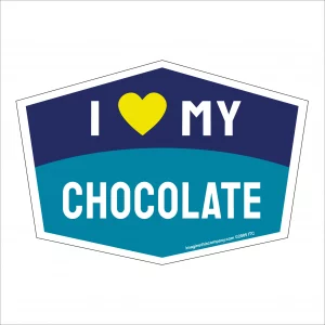 I Love My Chocolate Hexagon Shaped Magnet