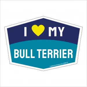 I Love My Bull Terrier Hexagon Shaped Magnet