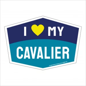 I Love My Cavalier Hexagon Shaped Magnet