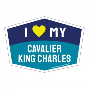 I Love My Cavalier King Charles Hexagon Shaped Magnet
