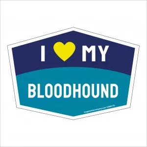 I Love My Bloodhound Hexagon Shaped Magnet