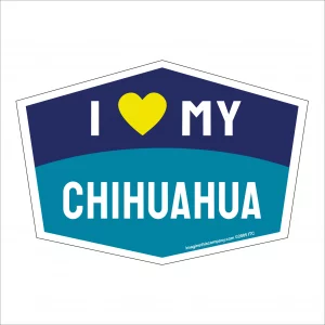 I Love My Chihuahua Hexagon Shaped Magnet