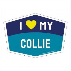 I Love My Collie Hexagon Shaped Magnet