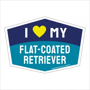 I Love My Flat-Coated Retriever Hexagon Shaped Magnet