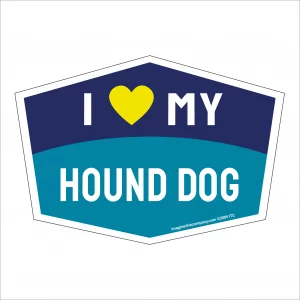 I Love My Hound Dog Hexagon Shaped Magnet