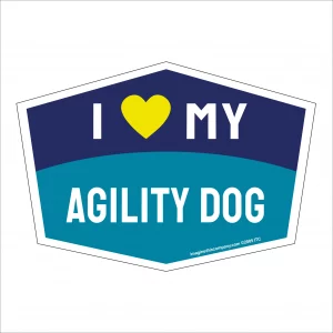 I Love My Agility Dog Hexagon Shaped Magnet