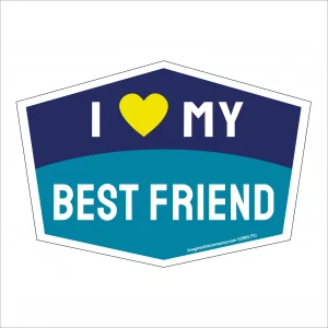 I Love My Best Friend Hexagon Shaped Magnet