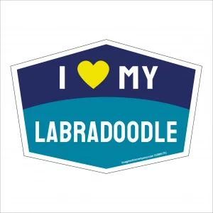 I Love My Labradoodle Hexagon Shaped Magnet