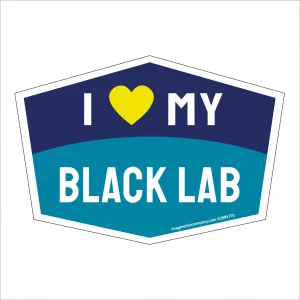 I Love My Black Lab Hexagon Shaped Magnet