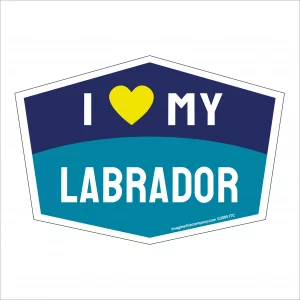 I Love My Labrador Hexagon Shaped Magnet
