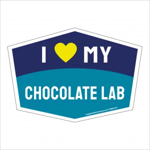 I Love My Chocolate Lab Hexagon Shaped Magnet