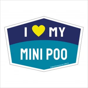 I Love My Mini Poo Hexagon Shaped Magnet