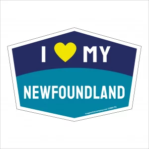 I Love My Newfoundland Hexagon Shaped Magnet