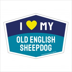 I Love My Old English Sheepdog Hexagon Shaped Magnet