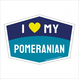 I Love My Pomeranian Hexagon Shaped Magnet