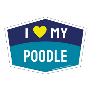 I Love My Poodle Hexagon Shaped Magnet