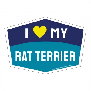 I Love My Rat Terrier Hexagon Shaped Magnet
