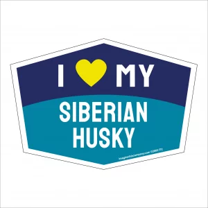 I Love My Siberian Husky Hexagon Shaped Magnet