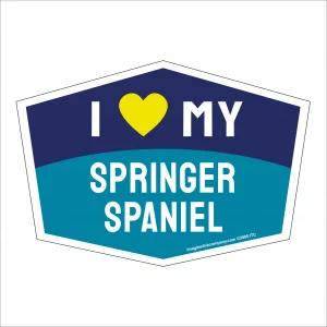 I Love My Springer Spaniel Hexagon Shaped Magnet