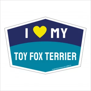 I Love My Toy Fox Terrier Hexagon Shaped Magnet