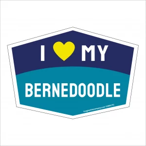 I Love My Bernadoodle Hexagon Shaped Magnet