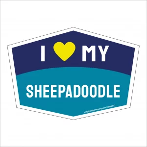 I Love My Sheepadoodle Hexagon Shaped Magnet