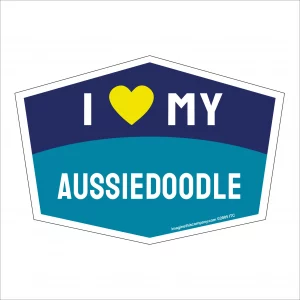 I Love My Aussiedoodle Hexagon Shaped Magnet