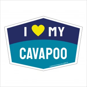 I Love My Cavapoo Hexagon Shaped Magnet