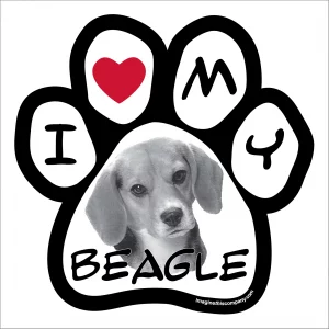 Beagle Photo Paw Magnet