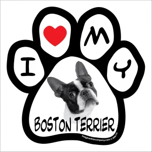 Boston Terrier Photo Paw Magnet