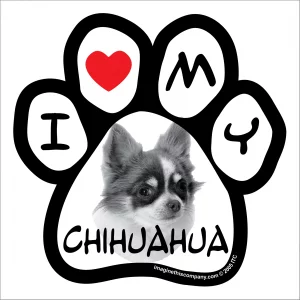 Chihuahua Photo Paw Magnet