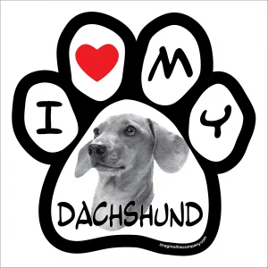 Dachshund Photo Paw Magnet