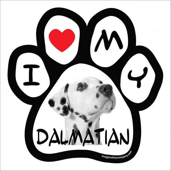 Dalmation Photo Paw Magnet