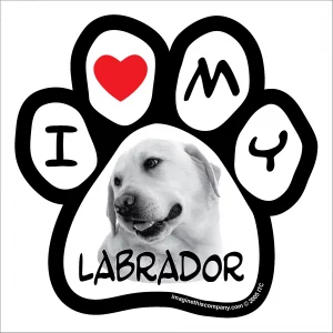 Labrador Photo Paw Magnet